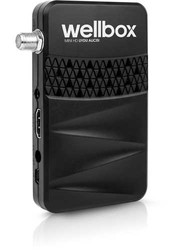 Wellbox 3100 Mini Hd Uydu Alıcısı - 1