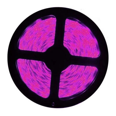 Cata CT-4470 10 Çip İç Mekan Şerit Led Pembe Işık - Cata