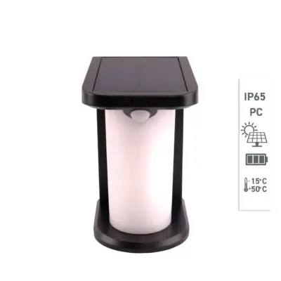 ACK AG60-04851 Solar Led Duvar Apliği Dimli Siyah 3000K Günışığı IP65 - 3