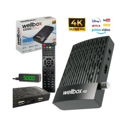 Wellbox WX-3500S Mini HD Uydu Alıcısı - WELLBOX (1)