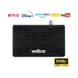 Wellbox Astor Uydu Alıcısı - WELLBOX (1)