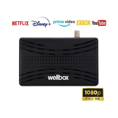 Wellbox Astor Uydu Alıcısı - 2