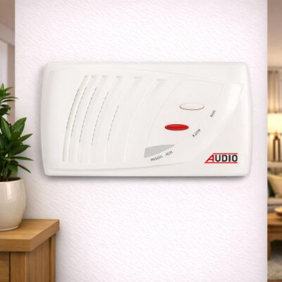 Audıo Sıva Altı 301 Şube Kapı + Kapıcı + Kapı Otomatiği - Audio (1)