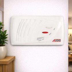 Audıo Sıva Altı 301 Şube Kapı + Kapıcı + Kapı Otomatiği - Audio (1)