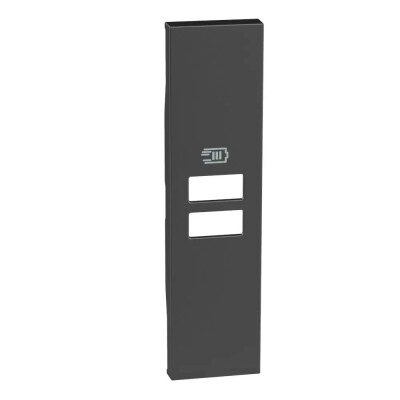 Bticino Living Now - 1M kapak 2 USB siyah - Bticino