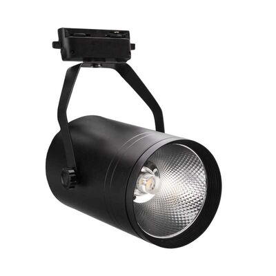 Pelsan 30W Lampda Cob Led Ray Spot Armatür 4000K Gün Işığı - 1