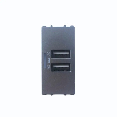 Thea Panasonic Modüler Füme Usb Priz Alt+Düğme Kapak 1M 5V2A - Thea/Panasonic