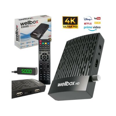 Wellbox WX-3500S Mini HD Uydu Alıcısı - 2